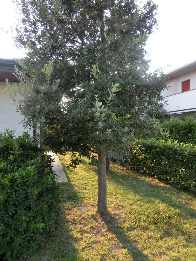 ביביונה Villa Federica מראה חיצוני תמונה
